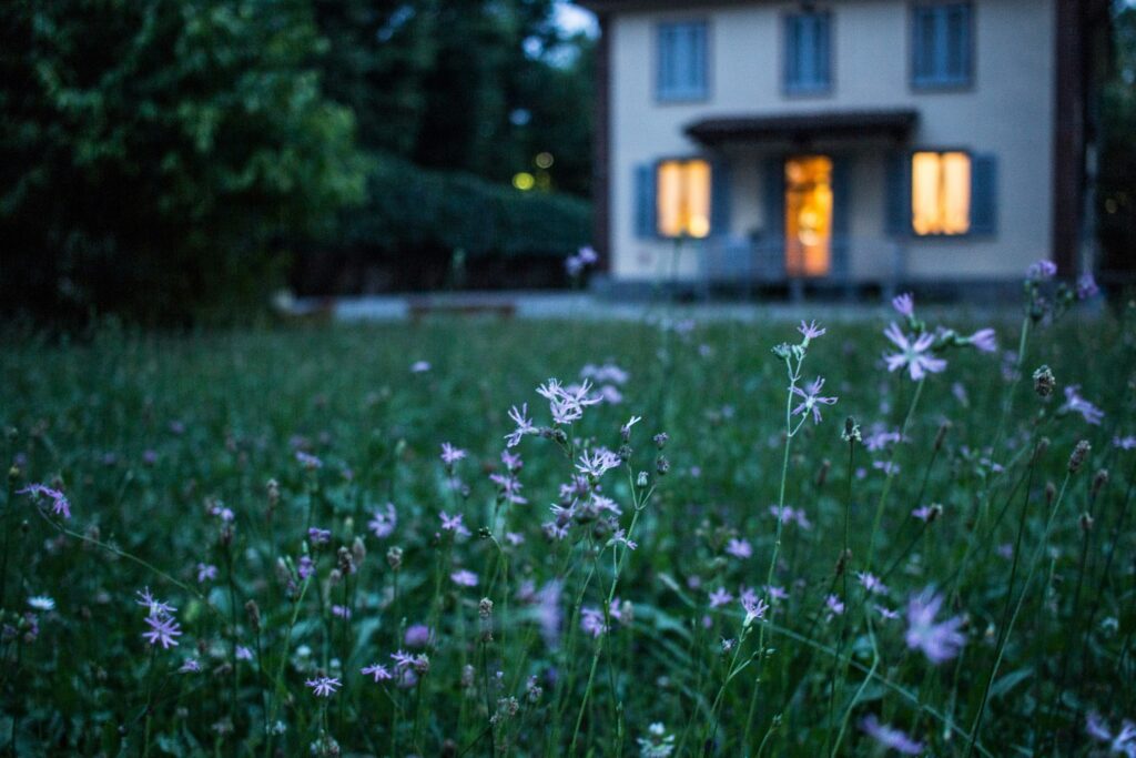 A home at dusk with focus on the flowers growing out front, representing spring or summer